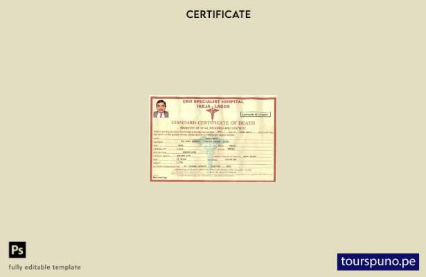 listo para imprimir plantilla de certificado de defunción del hospital especiali